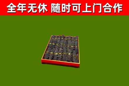 石狮市回收海参